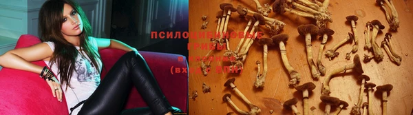 кокаин Медвежьегорск