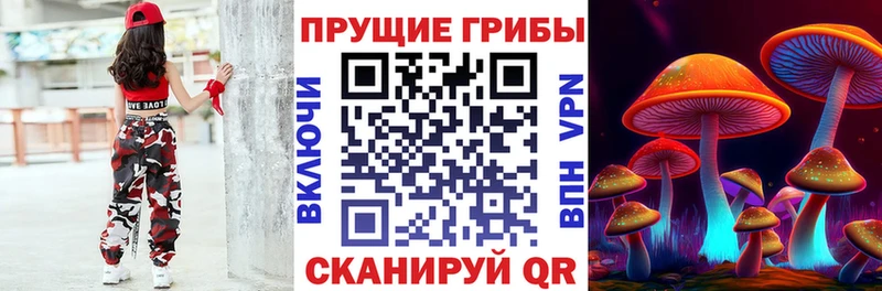 как найти   Полтавская  Псилоцибиновые грибы Psilocybe 